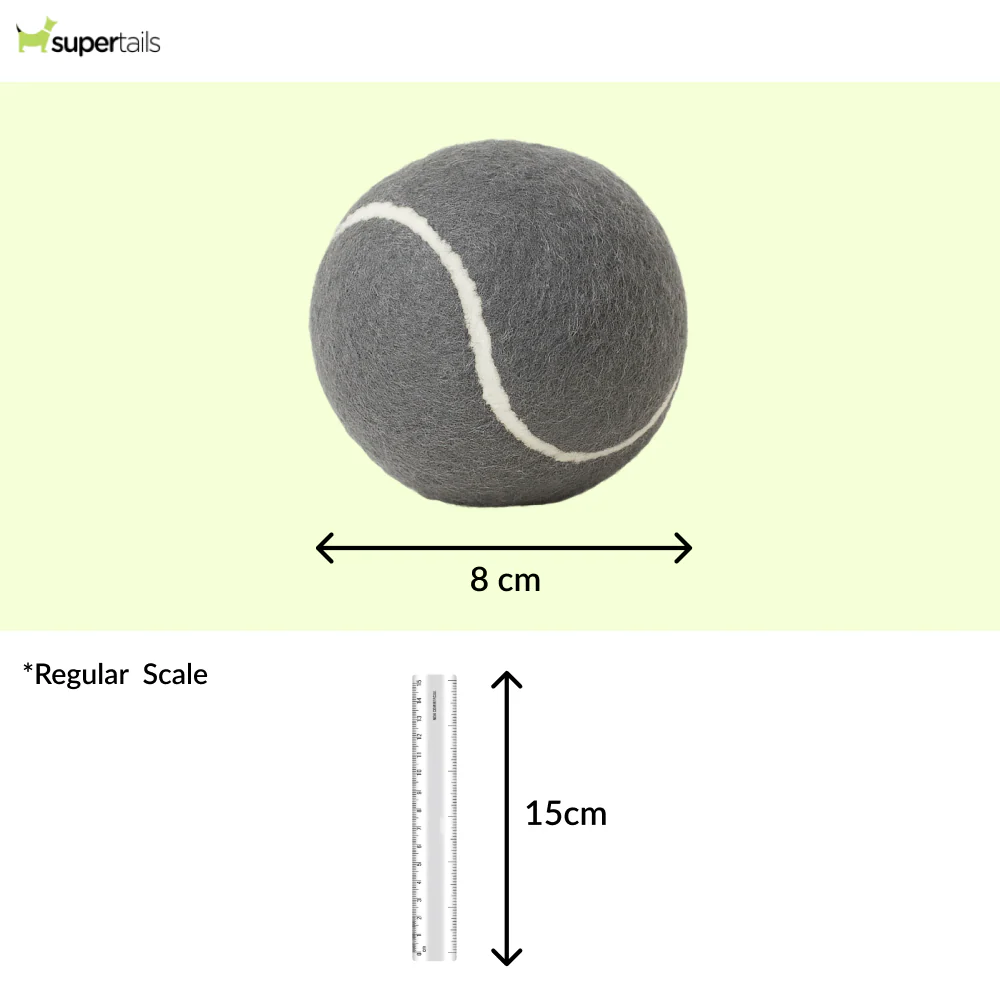 Talking Dog Club Tennis Ball Toy for Dogs (Grey) - Runbopad
