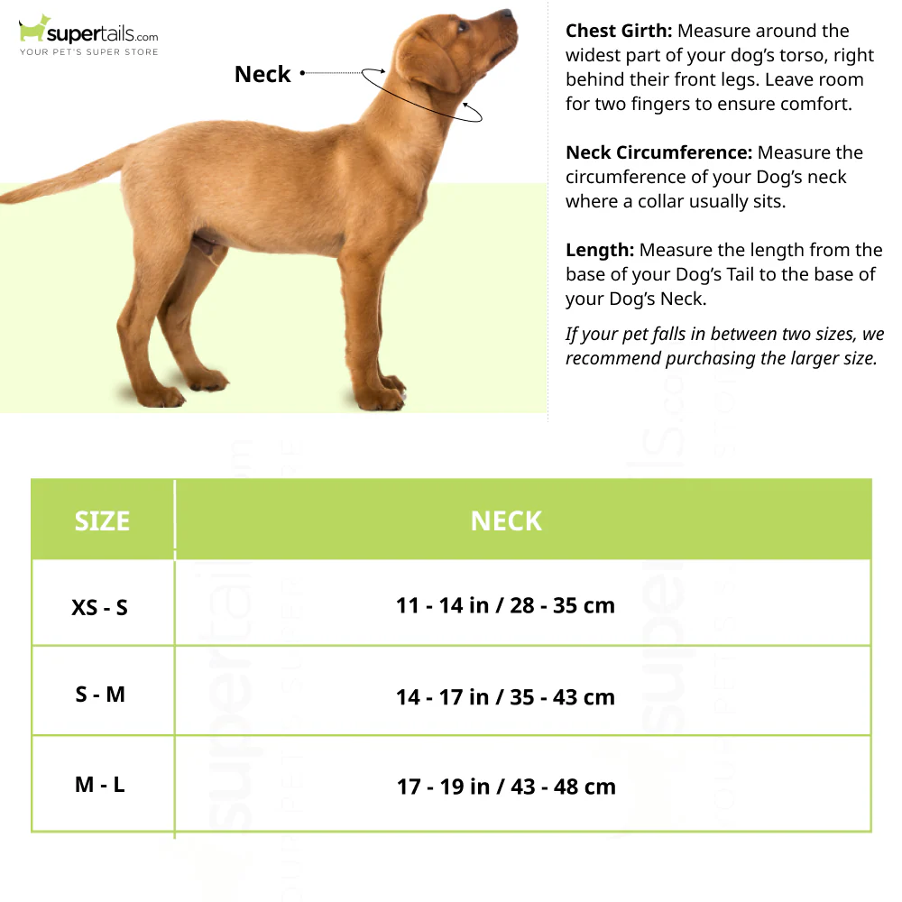 Trixie Premium Extra Wide Neoprene Padded Collar for Dogs (Boho Diamond/Caramel) - Runbopad