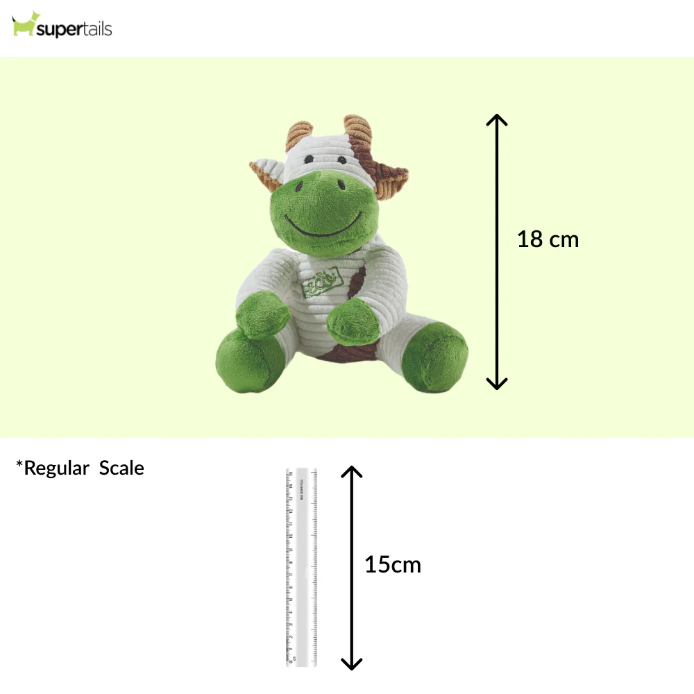 M Pets Terra Ella Eco Toy for Dogs (White) - Runbopad