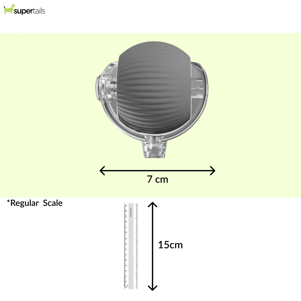 Talking Dog Club Automatic Rotating Interactive LED Ball for Cats, Kittens and Puppies (Grey) - Runbopad