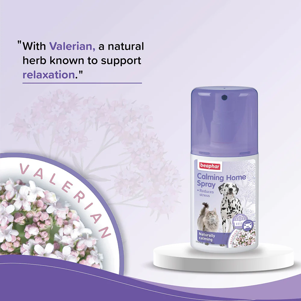 Beaphar Calming Home Spray for Dogs and Cats - Runbopad