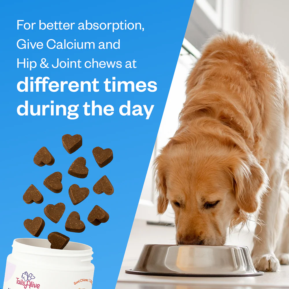 TailsAlive Hip & Joint and Calcium Chicken Flavor Soft Chews Supplements Combo for Dogs - Runbopad