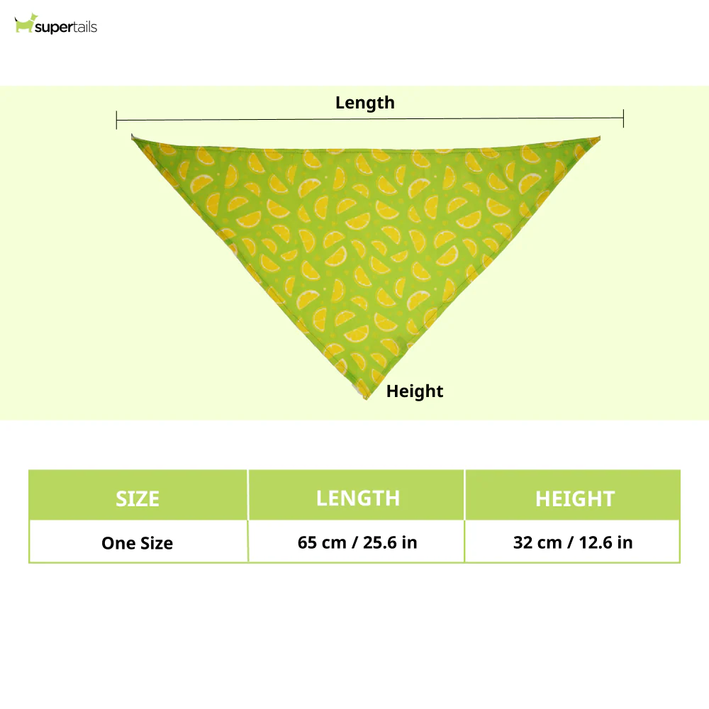 Skatrs Bandana for Dogs Perfect for Trendy Pets (Green) - Runbopad