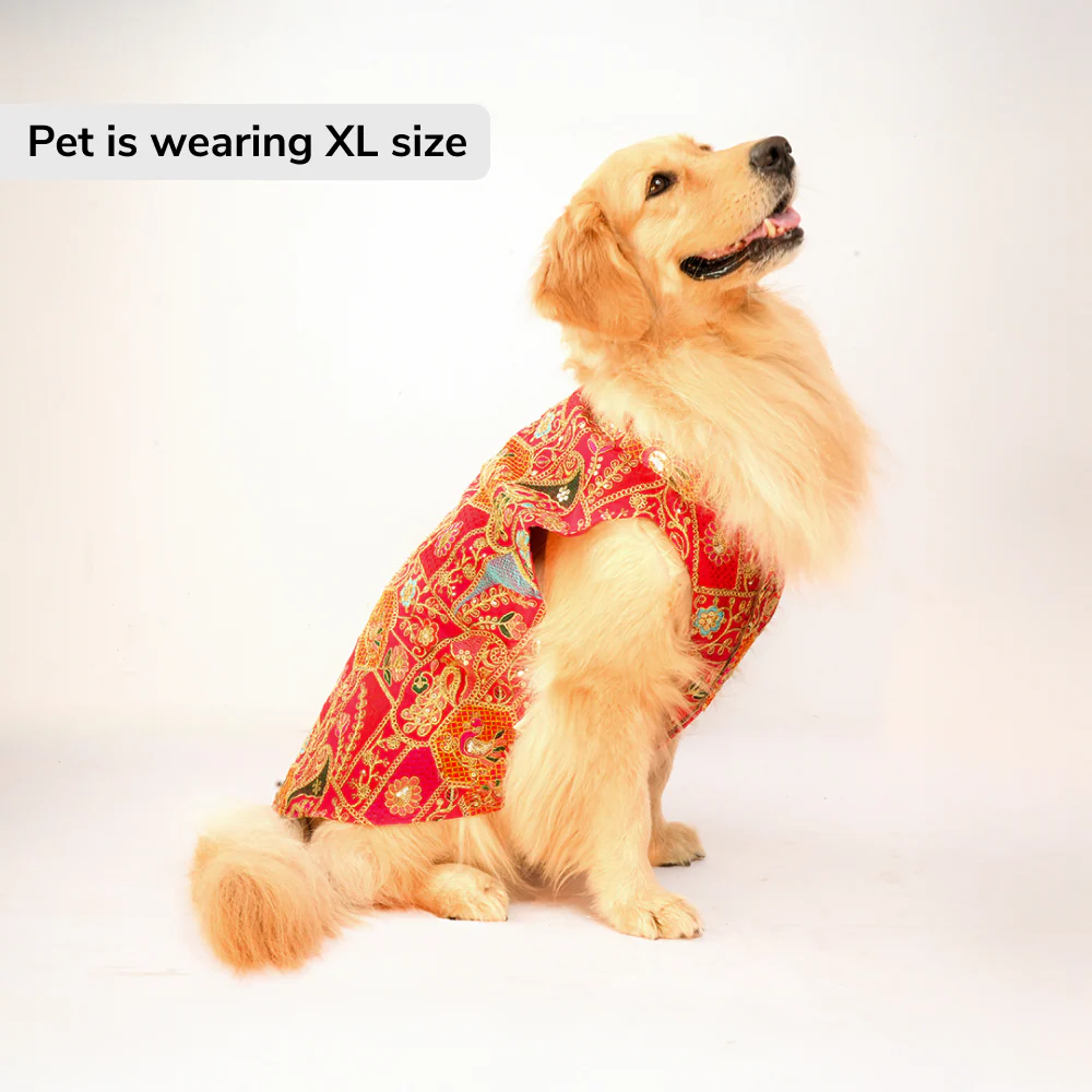 Skatrs Royale Sherwani for cats and dogs (Pink) - Runbopad