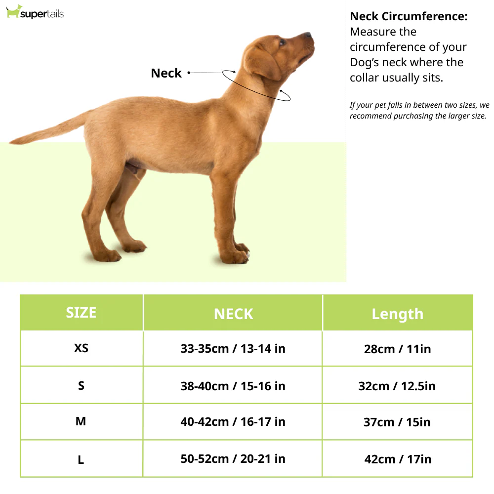 PawsIndia Traditional Royal Brocade Tuxedo for Dogs and Cats (Aqua Green) - Runbopad