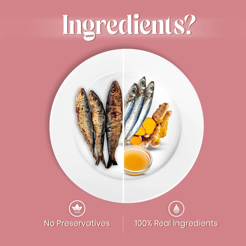 FurLoved Sardilicious Sardine Omega Rich Dogs Treats - Runbopad