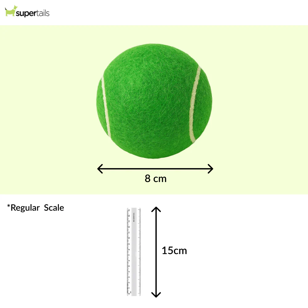 Talking Dog Club Tennis Ball Toy for Dogs (Green) - Runbopad