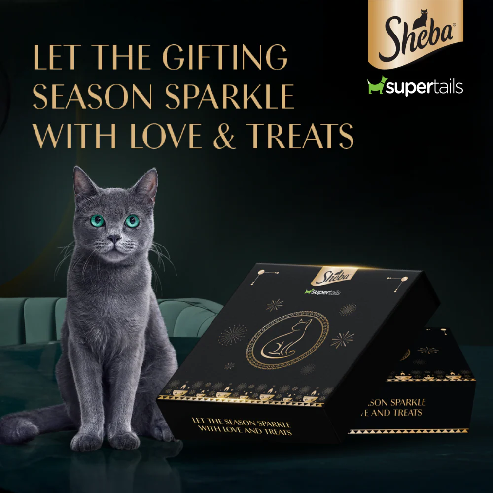 Sheba Trial Box | Limited Edition Starter Hamper for Cats - Runbopad
