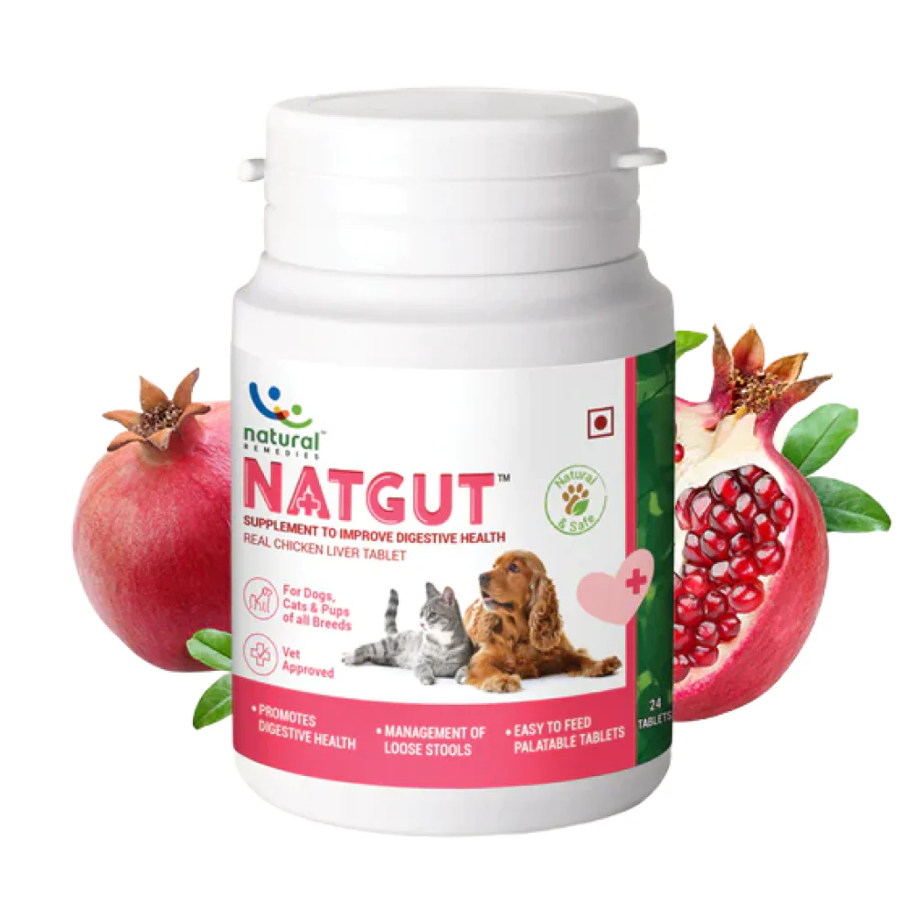 Natural Remedies Natgut Digestive Tablets & Fresh Me Up Bloom Dry Shampoo Dogs & Cats Combo - Runbopad