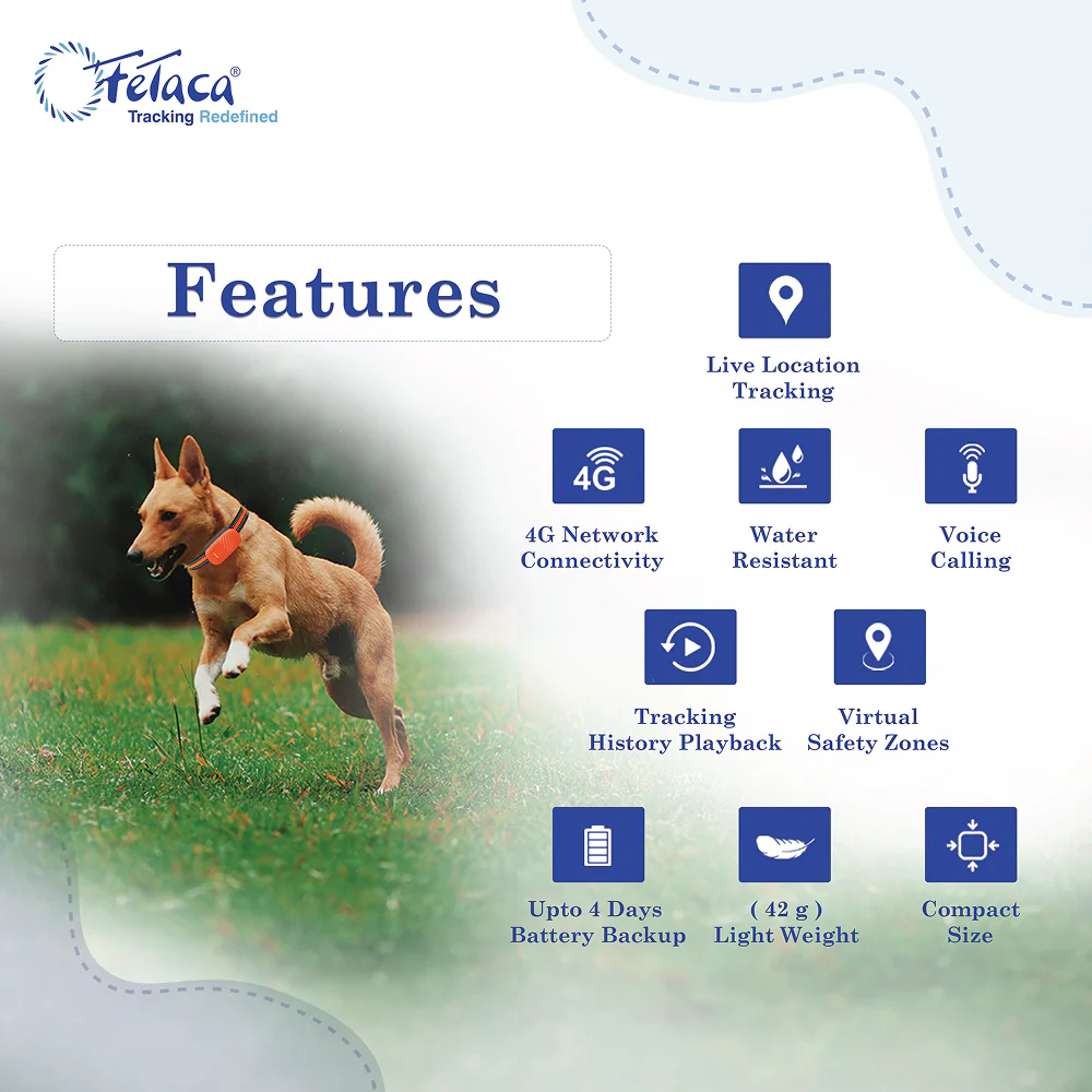 FeTaca Smart 4G GPS Tracker with Lifetime Free Tracking & 1 Year Data SIM Subscription for Dogs and Cats (Orange) - Runbopad