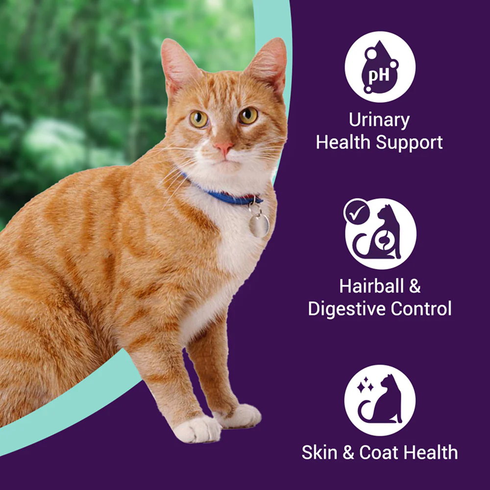 Purrfeto Chicken and Ocean Fish Cat Dry Food - Runbopad