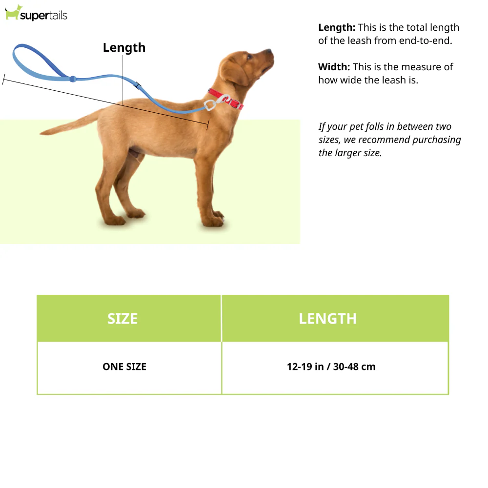 Ruffwear Double Track Coupler for Dogs (Basalt Gray) - Runbopad