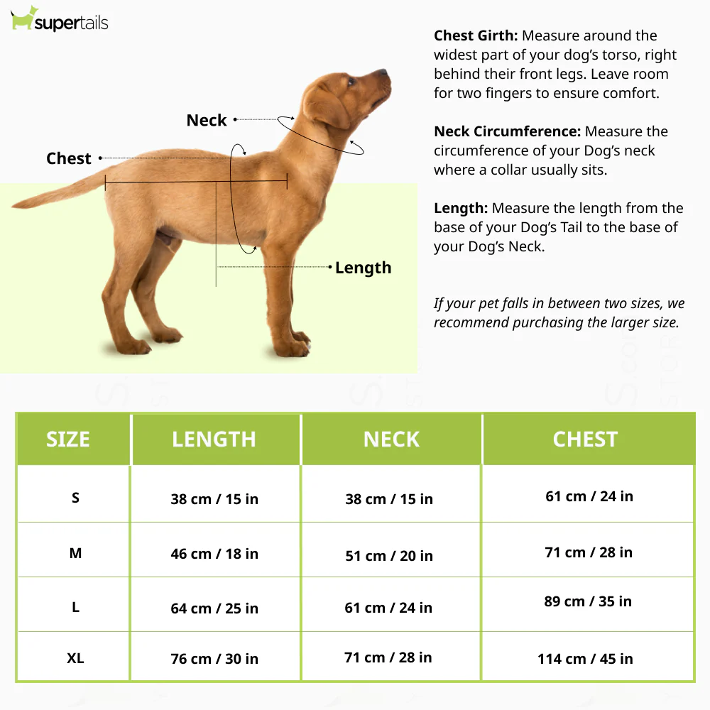 The Papaw Cartel Two Tiered Zardosi Lehenga With Stylish Choli for Dogs & Cats (Blue) - Runbopad