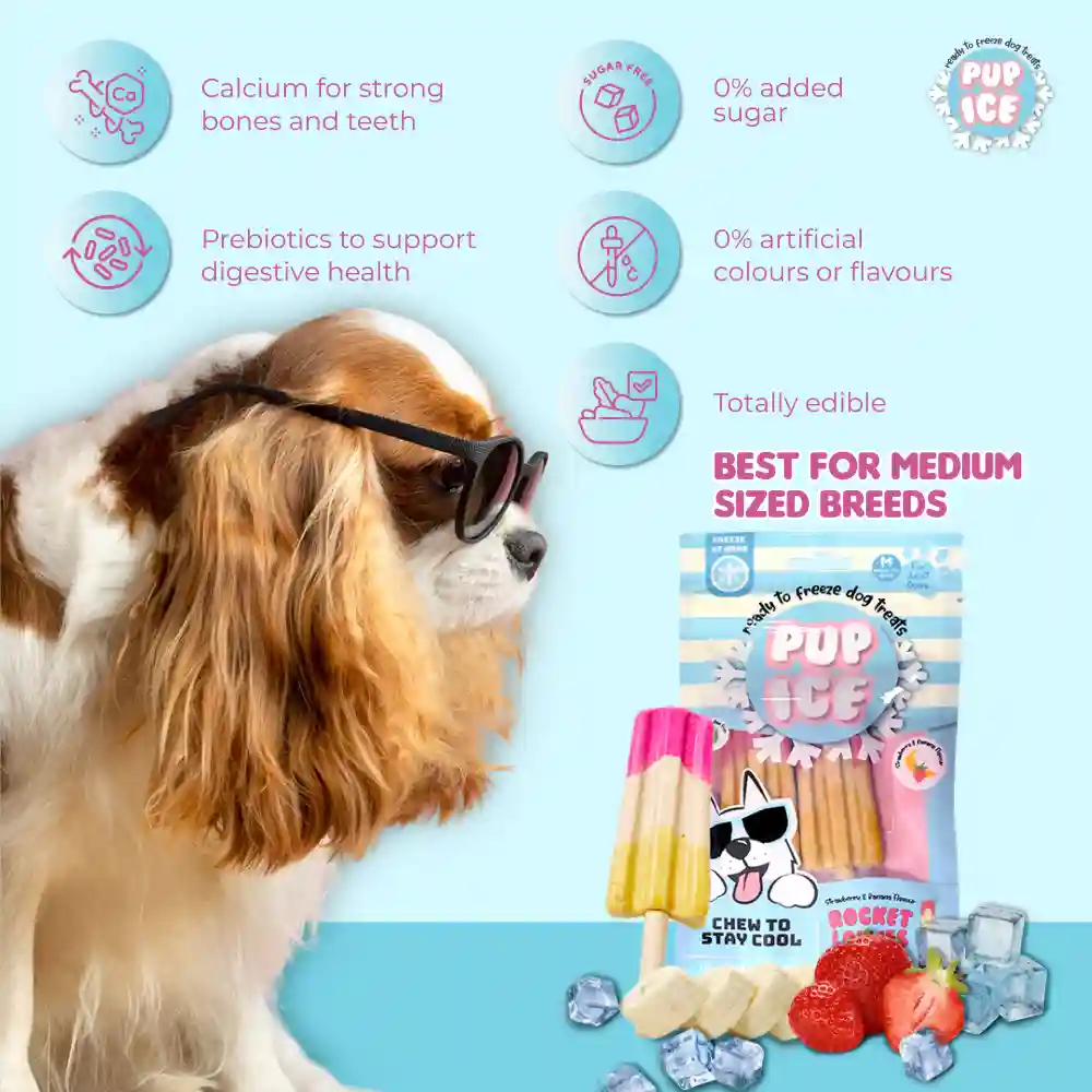 Pup Ice Meat Free Strawberry and Banana Flavoured Rocket Lollies Dog Treat - Runbopad