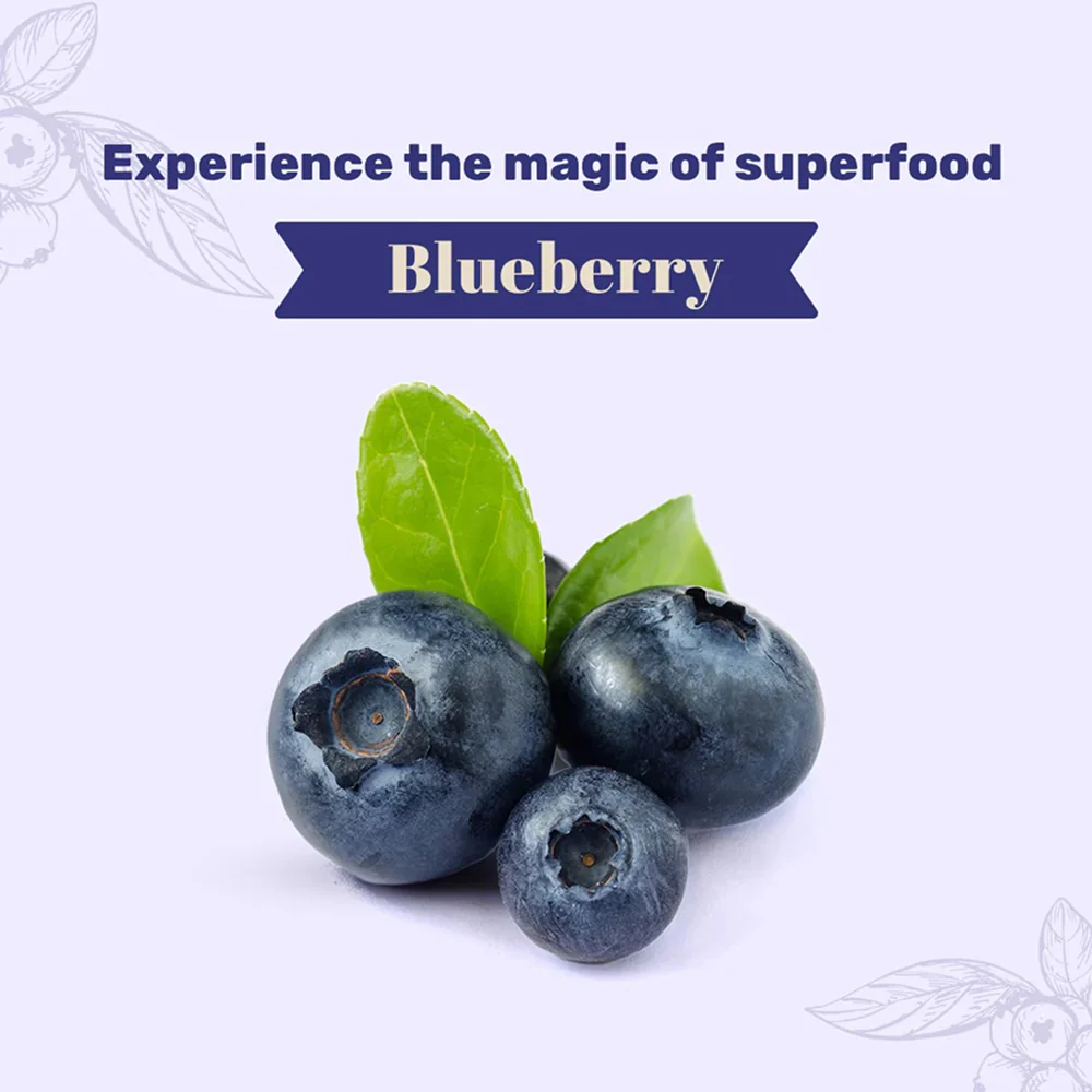 HUFT Gluten Free Goat Milk & Blueberry Cookie Dog Treats - Runbopad