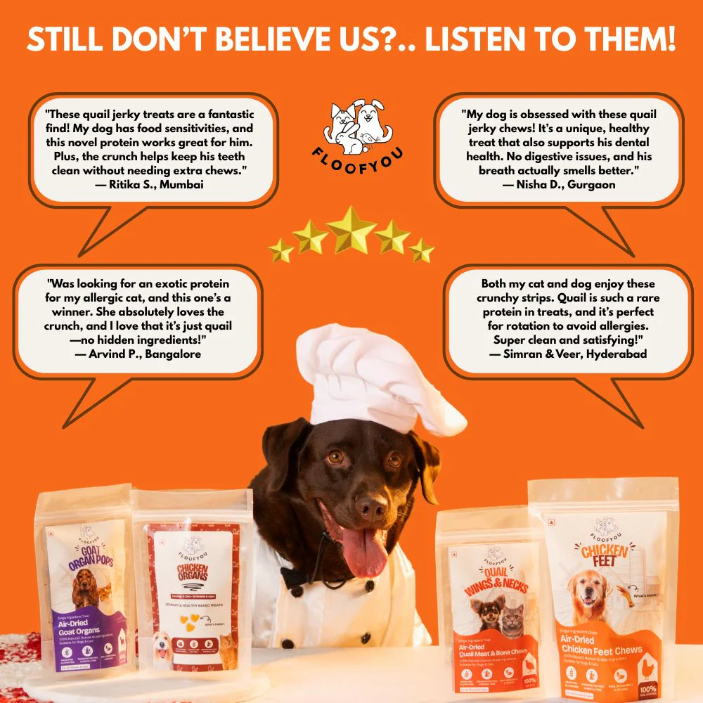 FloofYou Air Dried Quail Wings and Neck Chews Dog Treats - Runbopad