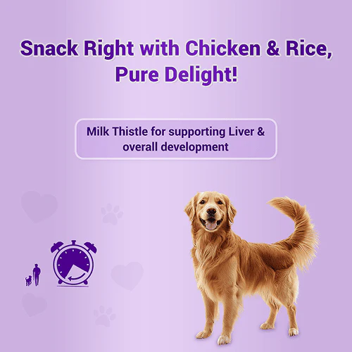 Natural Remedies Treat O'Clock Chicken and Rice Treats for Dogs - Runbopad