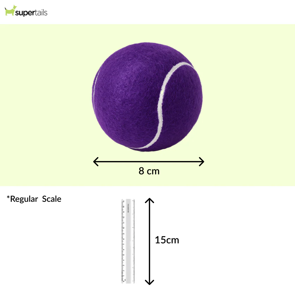 Talking Dog Club Tennis Ball Toy for Dogs (Purple) - Runbopad