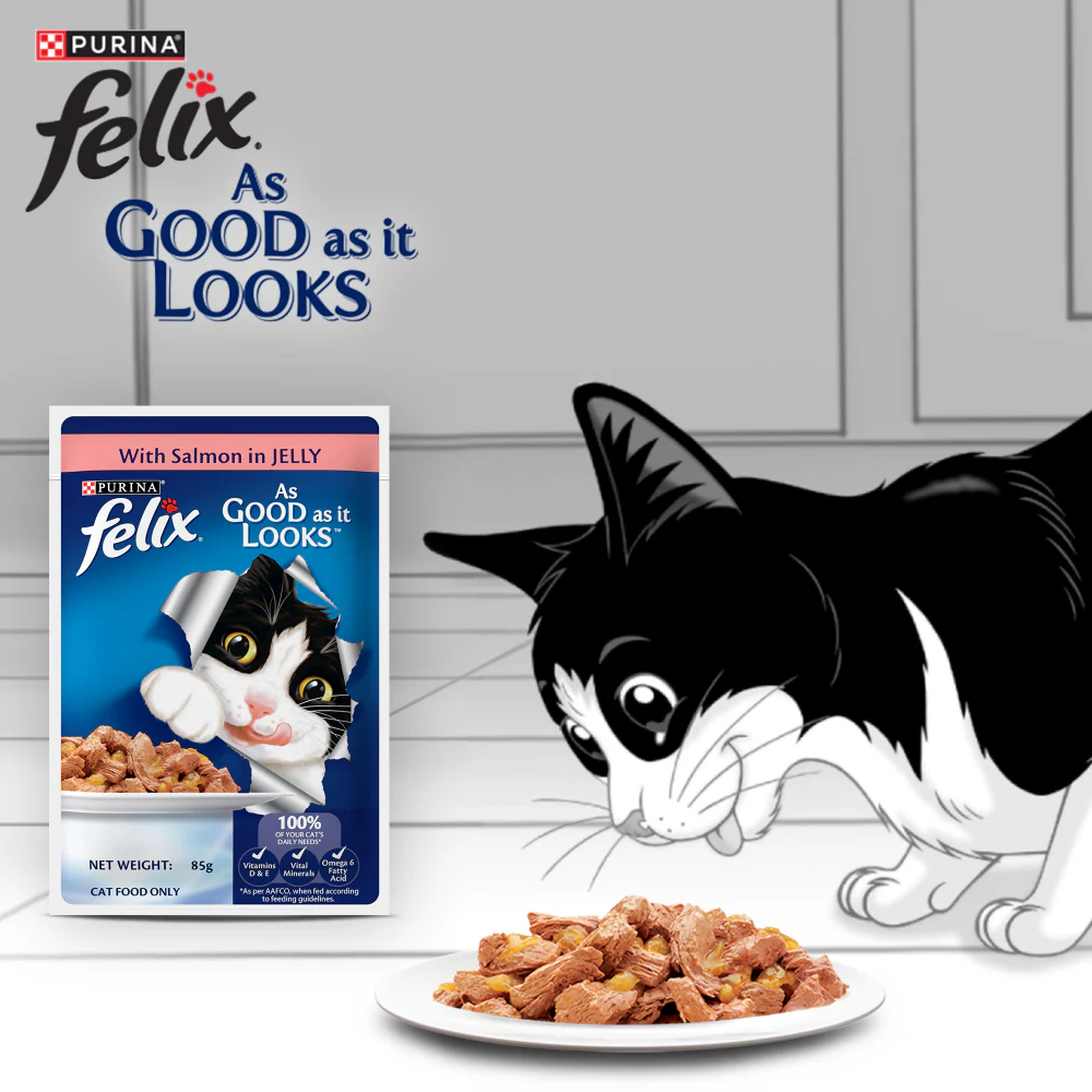 Purina Felix Salmon with Jelly Adult Complete and Balanced Cat Wet Food - Runbopad