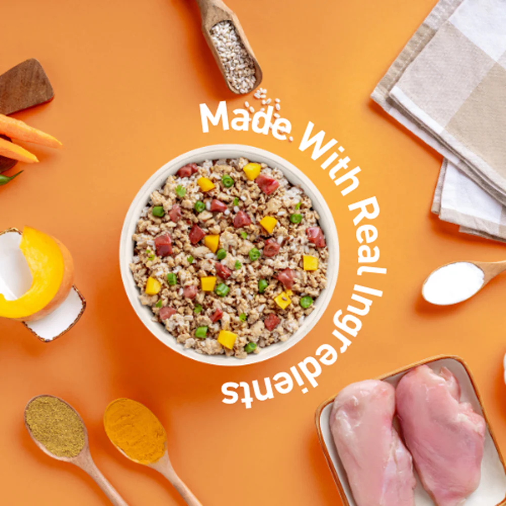 Homiee & Ginger Mini Meals Chicken & Barley Fresh Food for Dogs - Runbopad