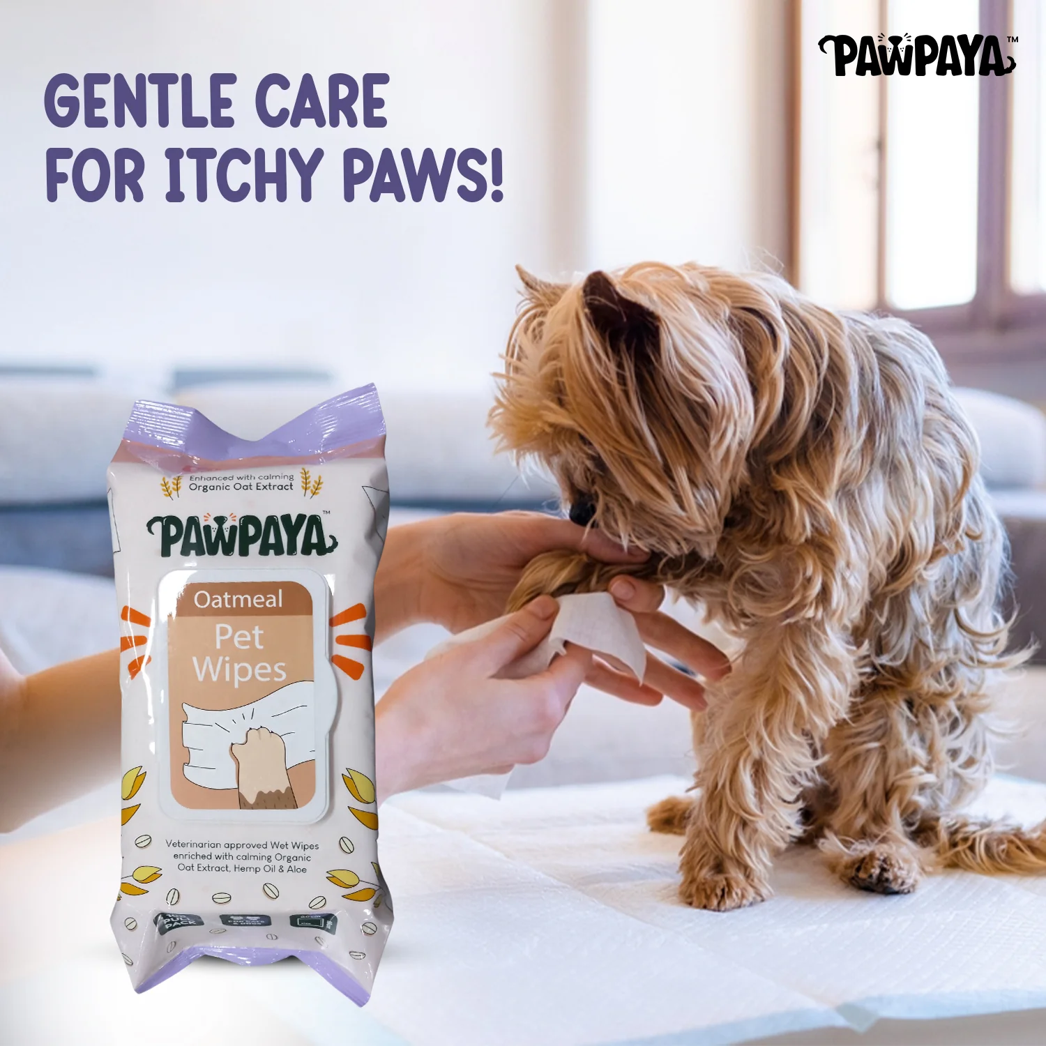 Pawpaya Oatmeal Wipes for Pets - Runbopad