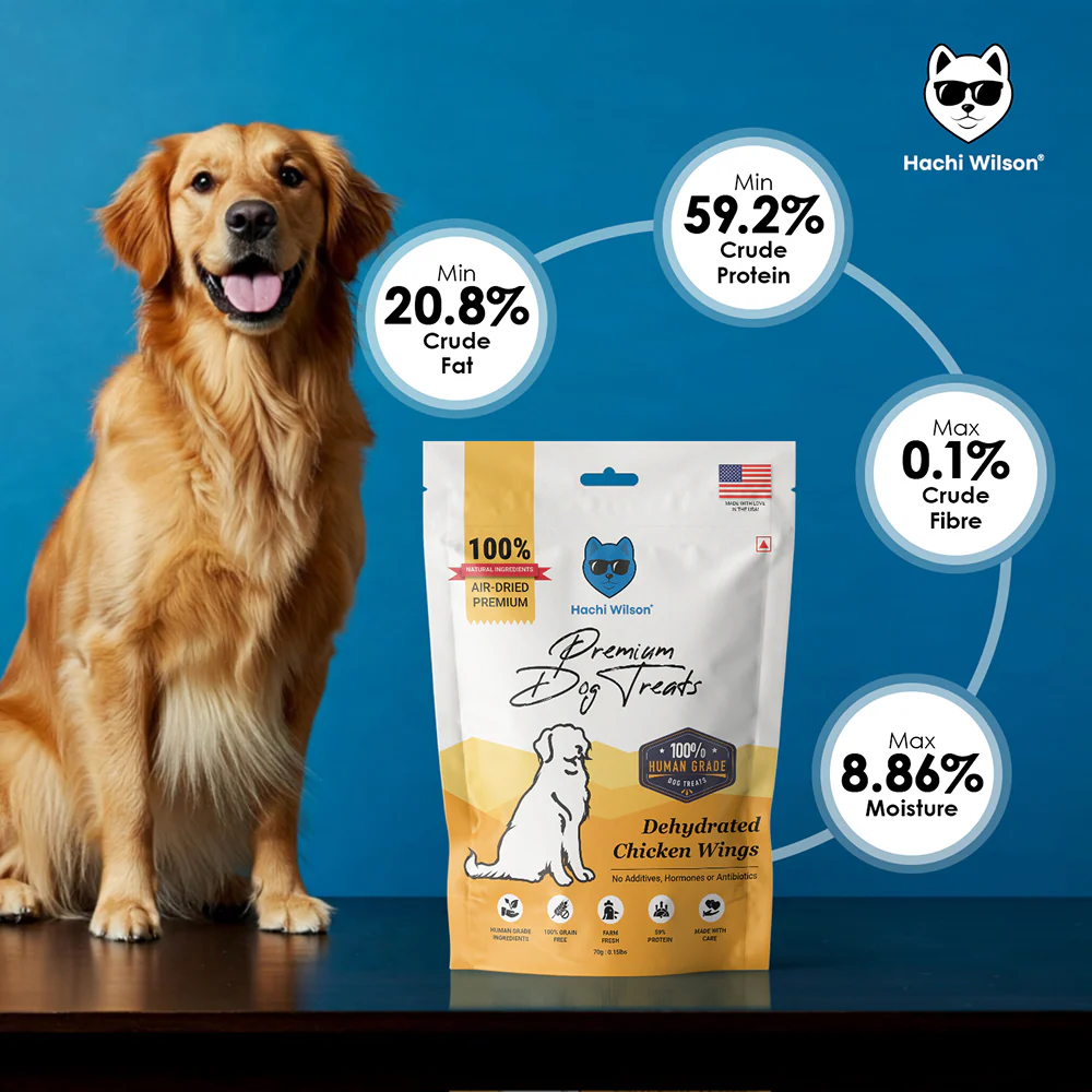 Hachi Wilson Premium Dehydrated Chicken Wings Jerky Dog Treat - Runbopad