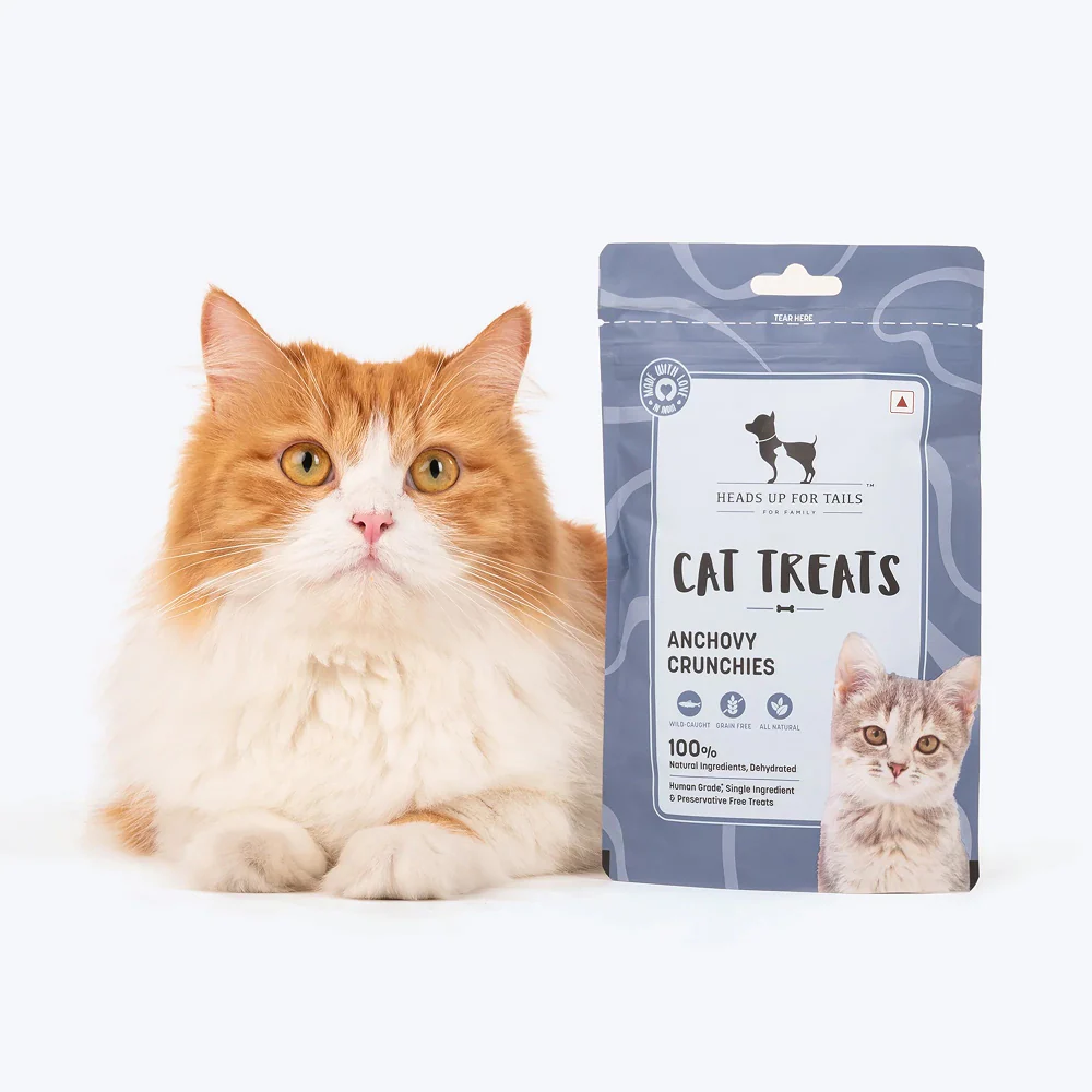 HUFT Dehydrated Anchovies Crunchies Cat Treats - Runbopad