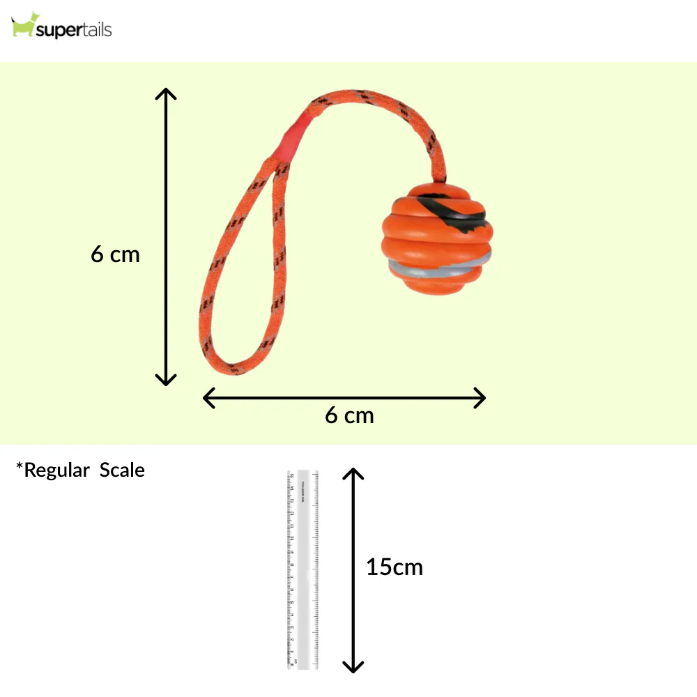 Trixie Wavy Ball on a Rope Toy for Dogs (Orange) - Runbopad