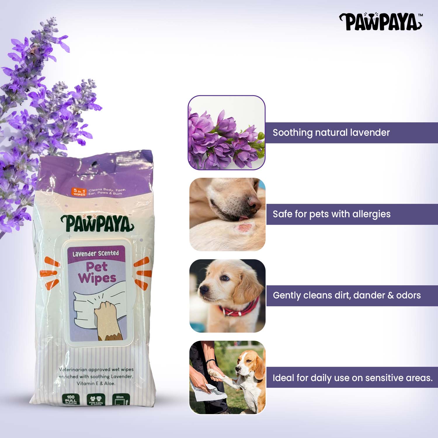 Pawpaya Lavender Scented Wipes for Dogs and Cats - Runbopad