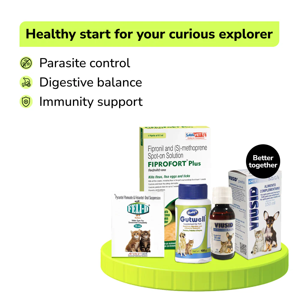 Preventive Care Kit Combo for Kitten (Dewormer + Spoton + Supplement + Probiotic) - Runbopad