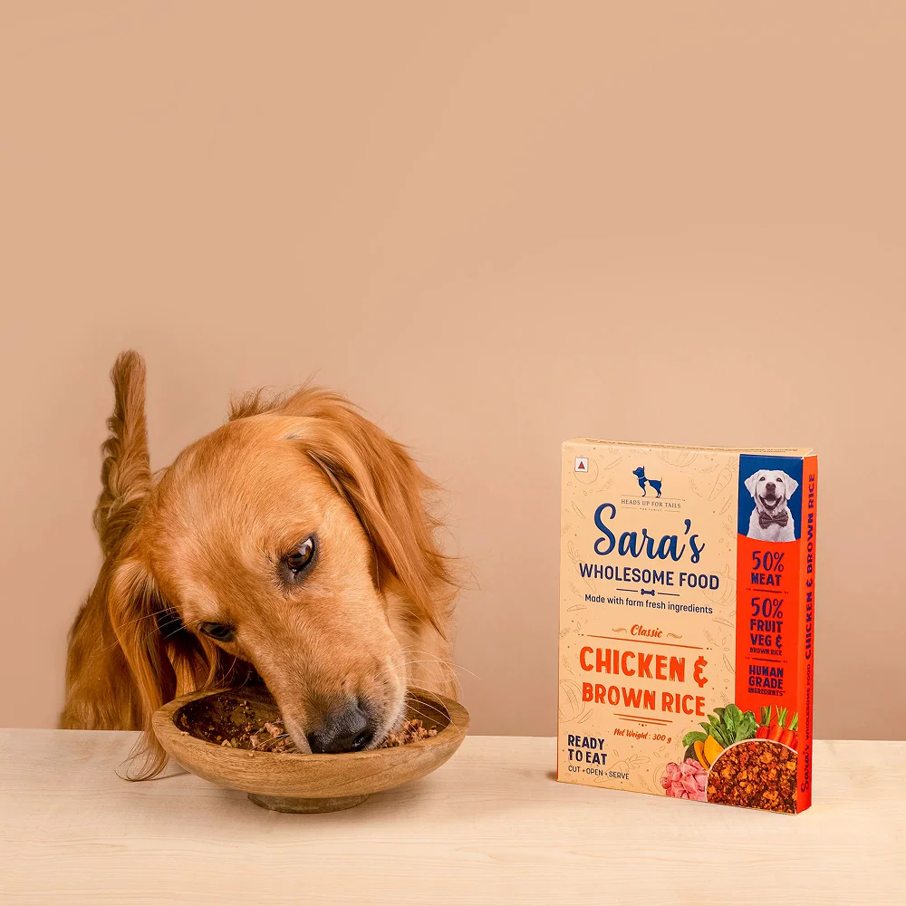 HUFT Sara's Wholesome Classic Chicken and Brown Rice Dog Wet Food - Runbopad