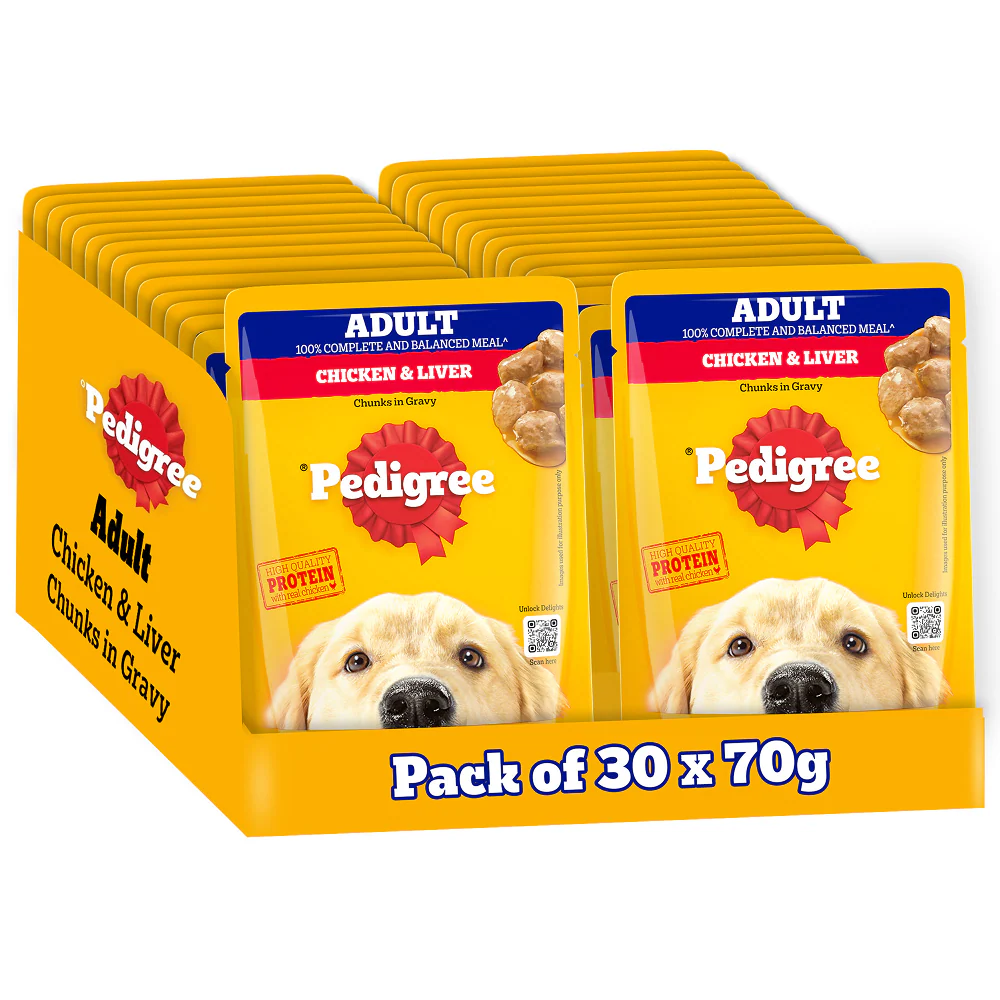 Pedigree Chicken and Liver Chunks in Gravy Adult Dog Wet Food (70g) - Runbopad