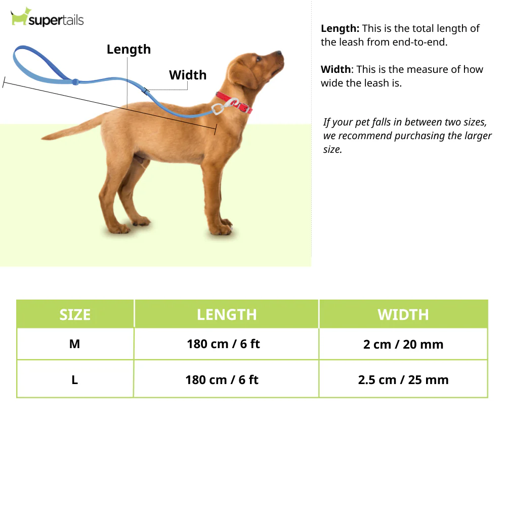 Warner Bros Batman Leash for Dogs and Cats - Runbopad