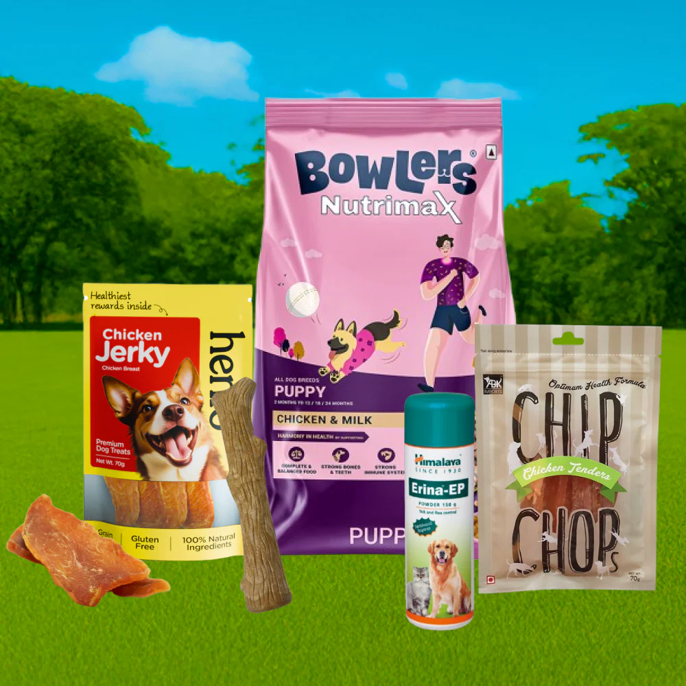 Bowlers Food, Henlo & Chip Chops Treats, Himalaya Tick Powder, Petstages Chew Stick Limited Puppy Hamper - Runbopad