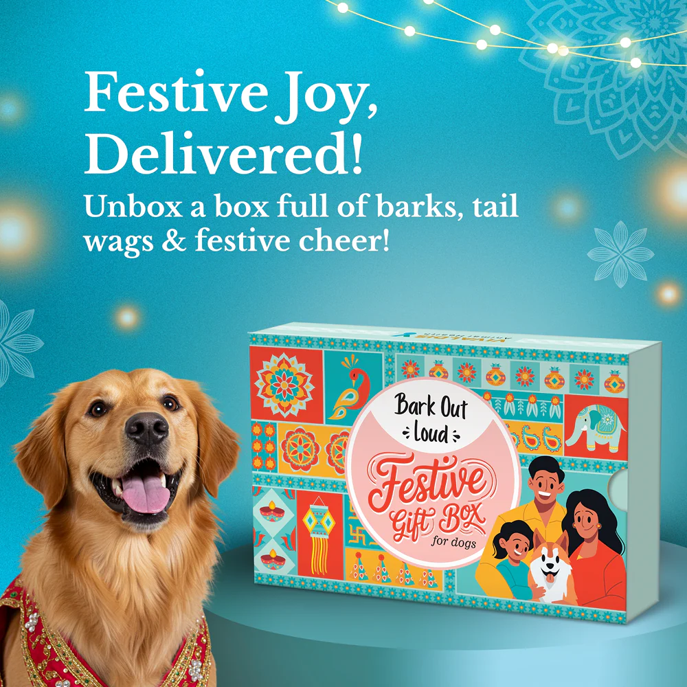 Bark Out Loud Festive Gift Box for Dogs - Runbopad