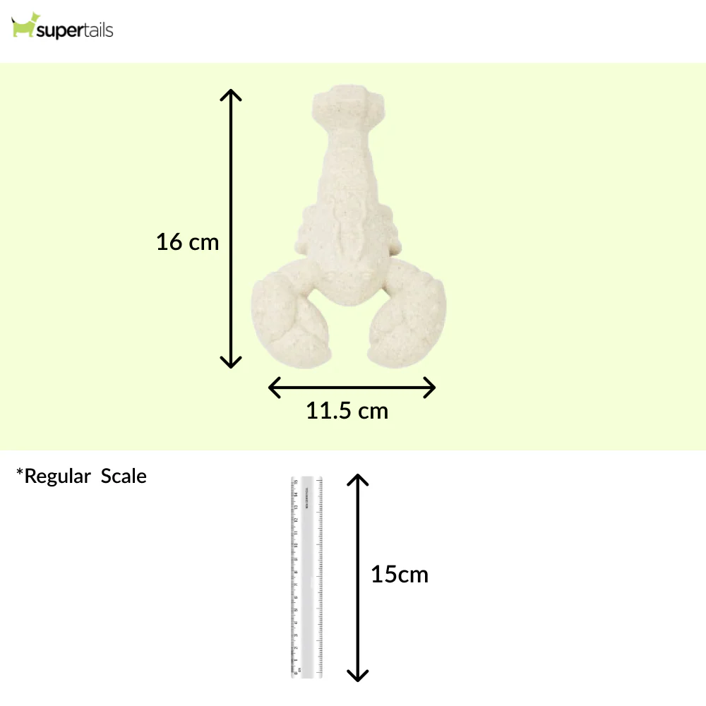 Barkbutler x Fofos Durable Lobster Chew Toy for Dogs - Runbopad