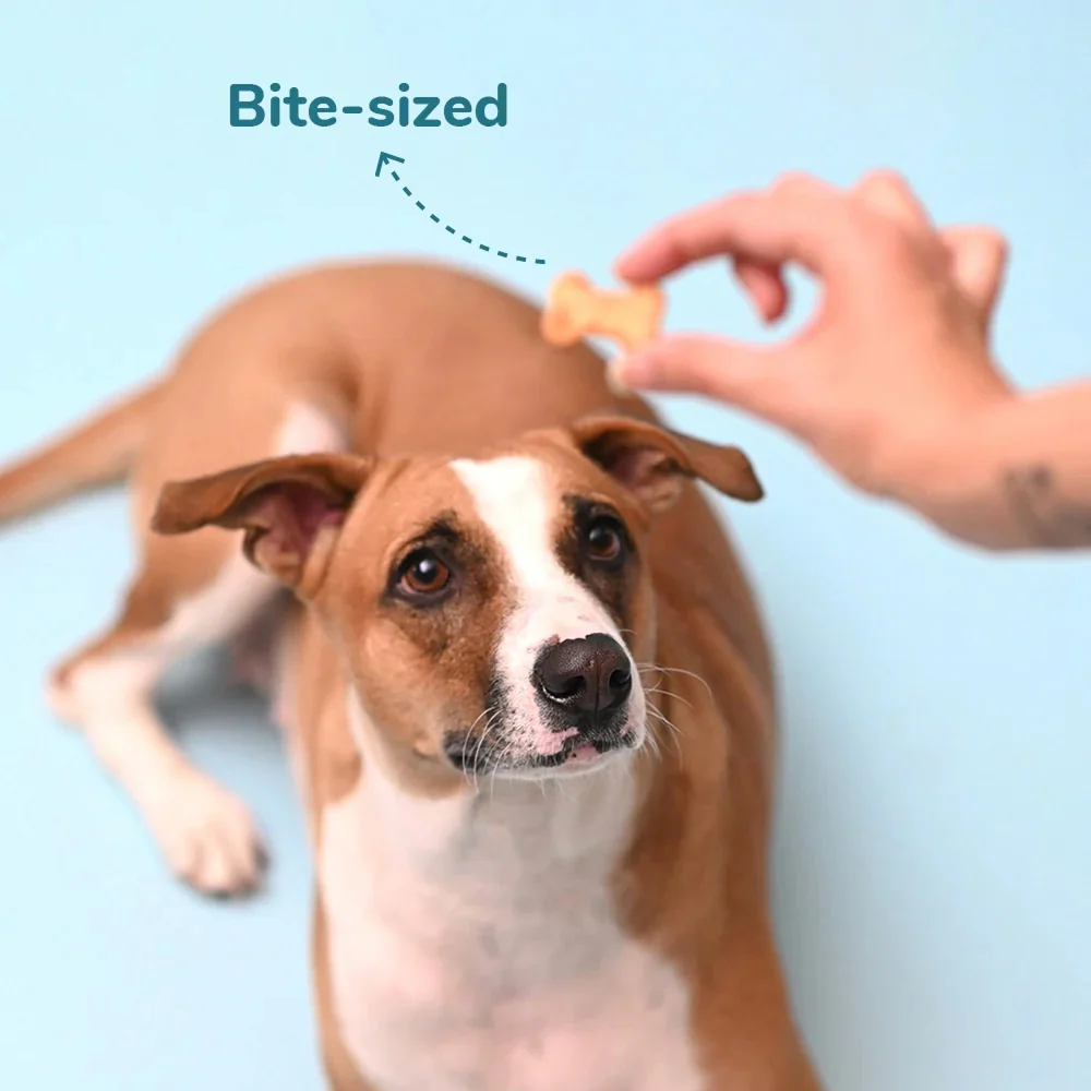 HUFT Yummy in My Tummy Gluten Free Real Chicken Cookies Dog Treats - Runbopad