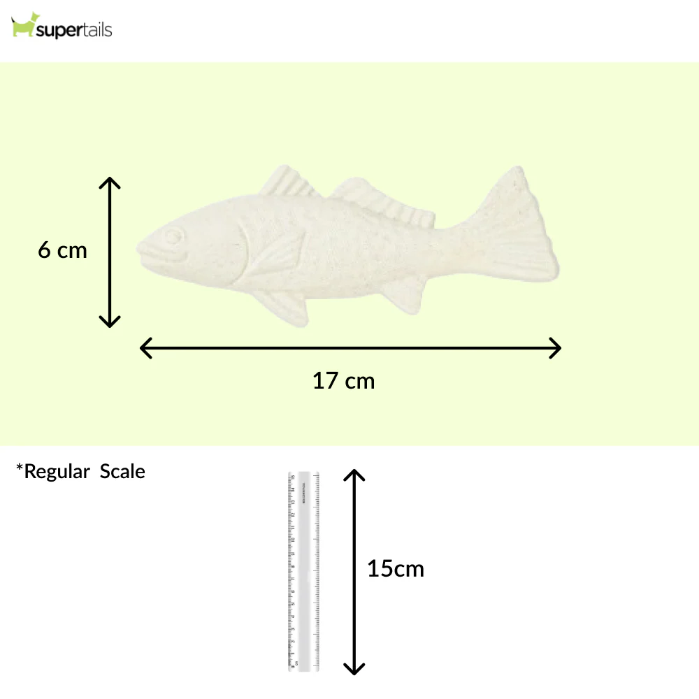 Barkbutler x Fofos Durable Cuttlefish Chew Toy for Dogs - Runbopad