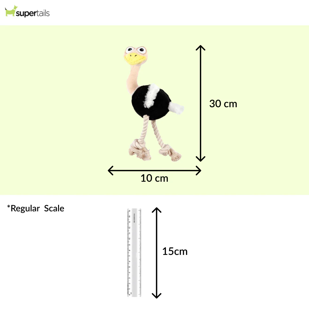 Talking Dog Club Ostritch Plush Toy for Dogs (White) - Runbopad