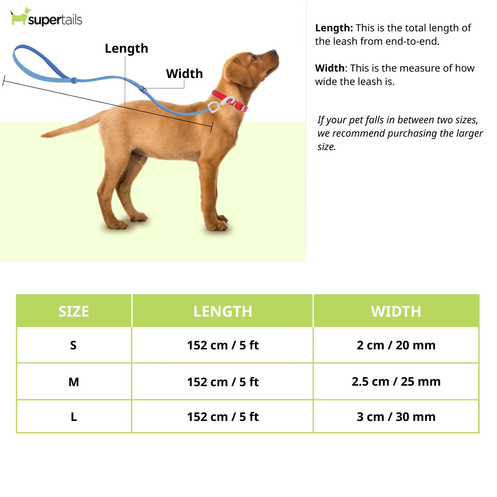 HUFT Basics Nylon Leash for Dogs (Crimson Red) - Runbopad