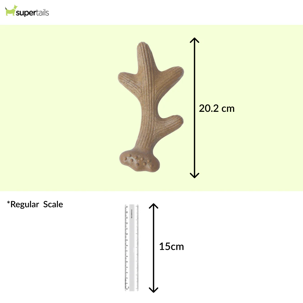 M Pets Chewood Branch Chew Toy for Dogs (Brown) - Runbopad