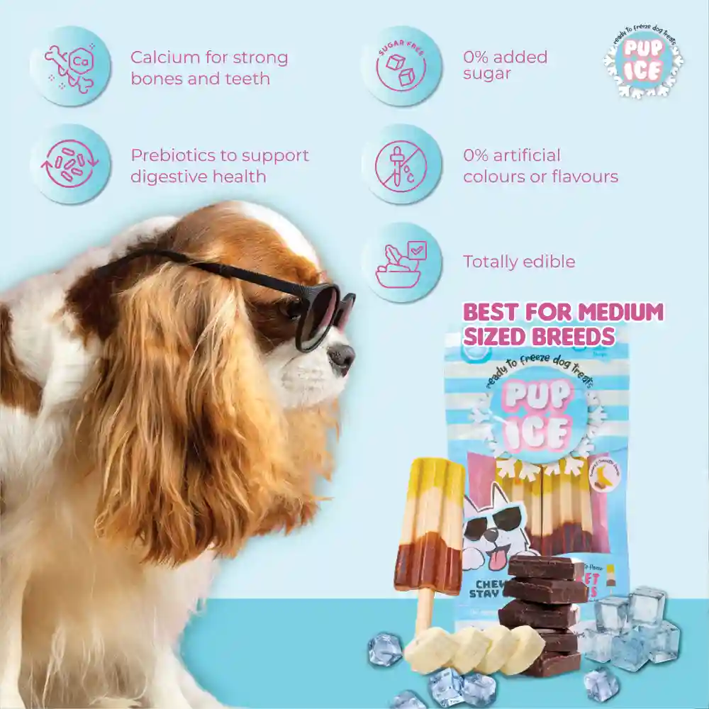 Pup Ice Chocolate and Banana Flavoured Rocket Lollies Dog Treat - Runbopad