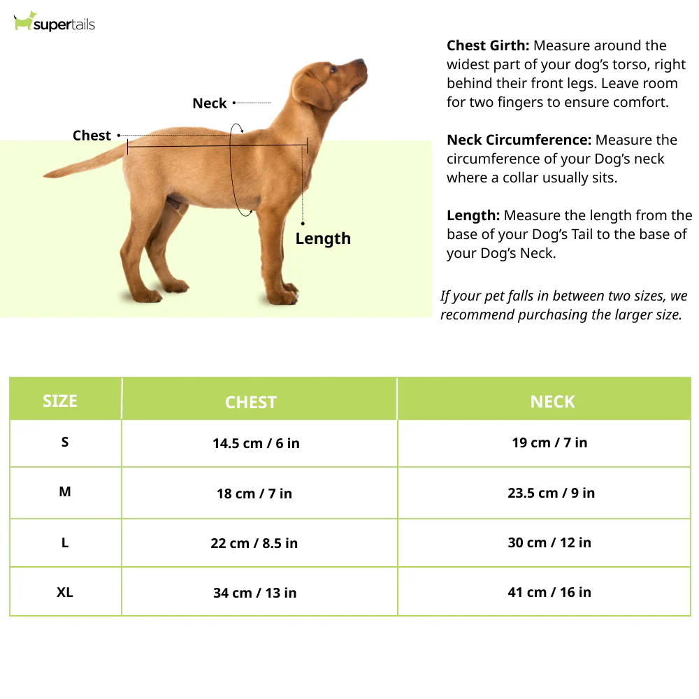 Warner Bros Batman Harness for Dogs and Cats - Runbopad