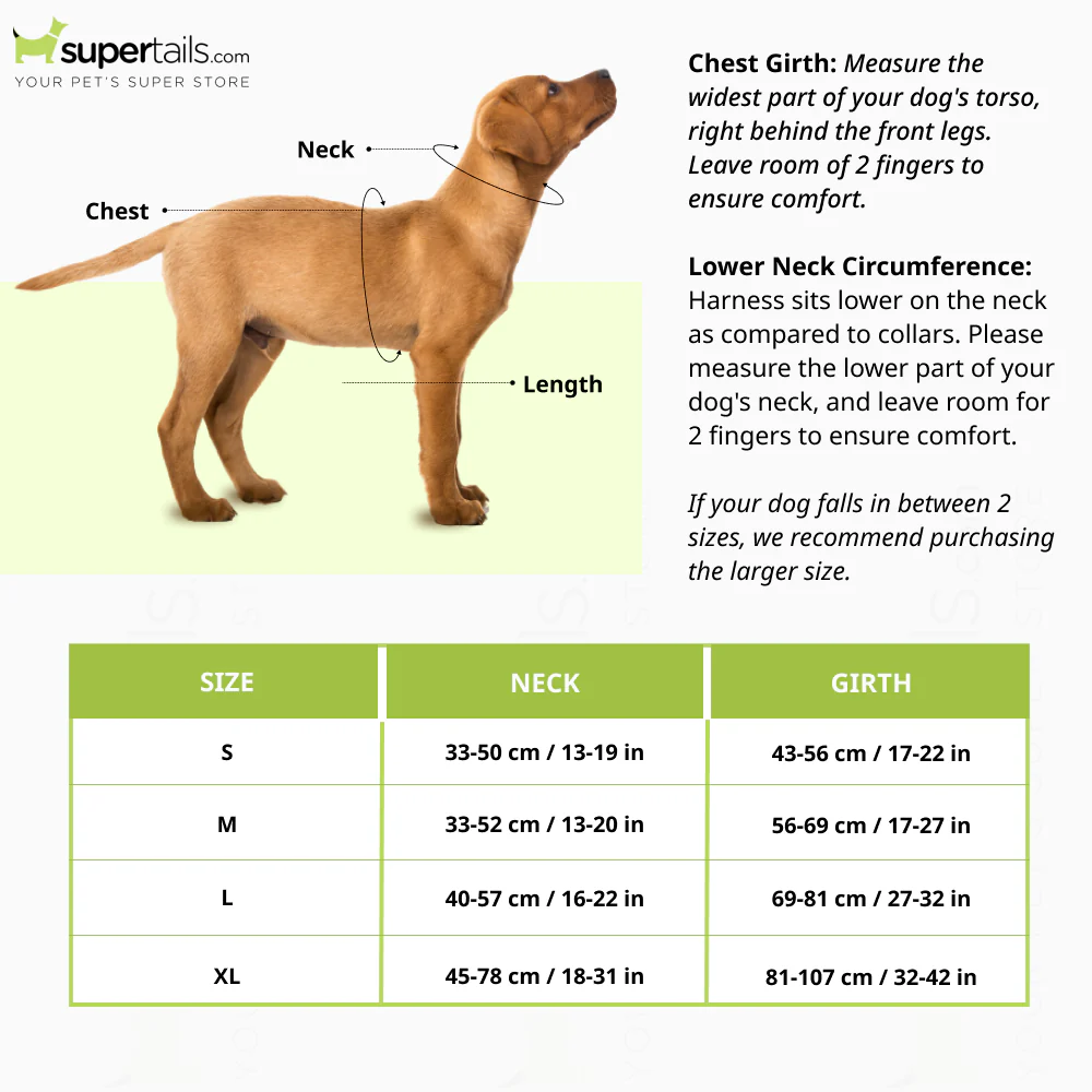 Whoof Whoof Full Body Three Layer Belt Harness for Dogs (Black) - Runbopad