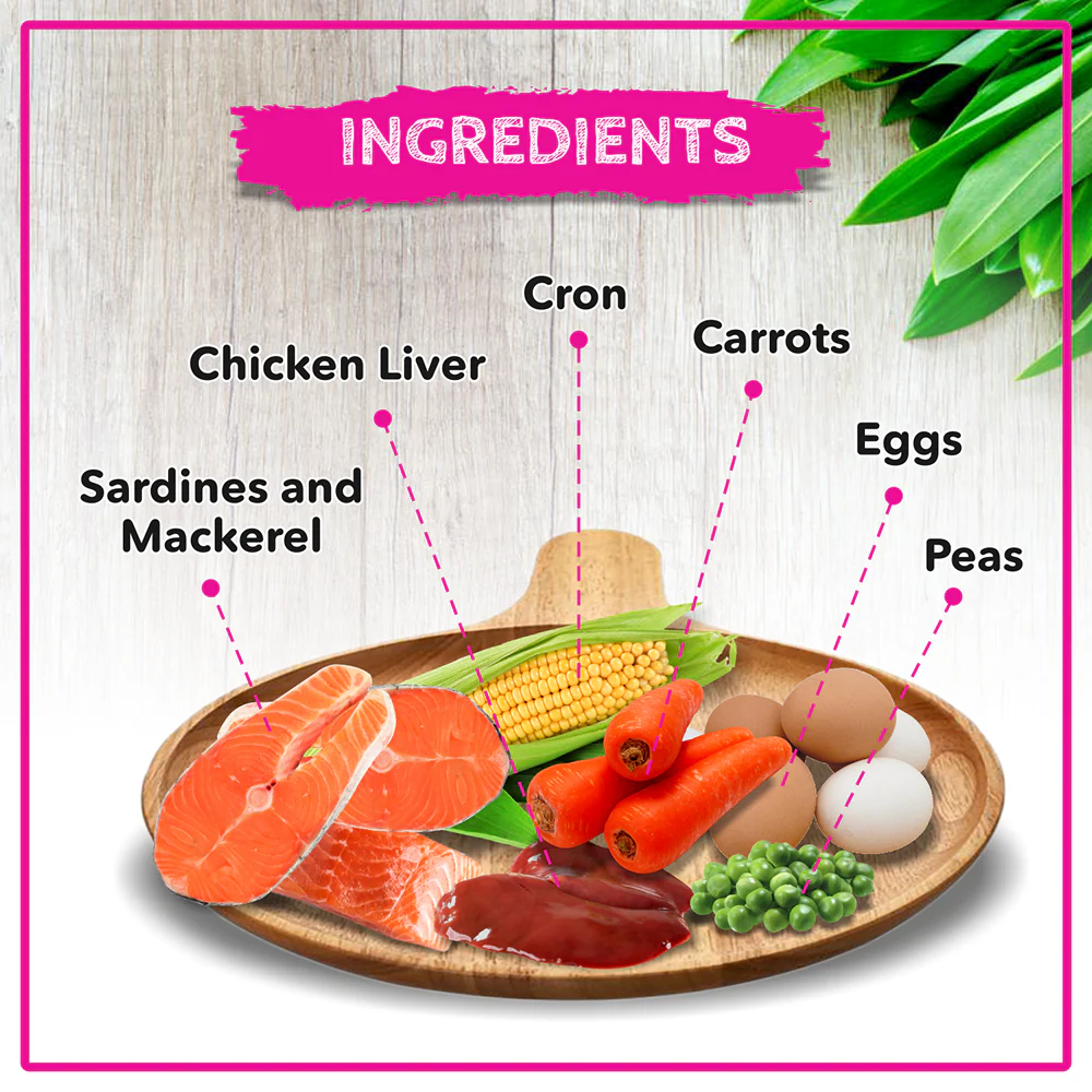 Active Ocean Fish Kitten Cat Dry Food (Buy 1 Get 1) - Runbopad