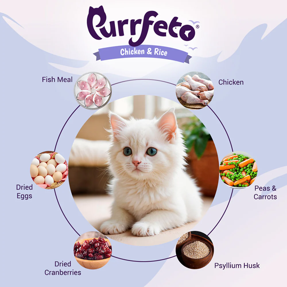 Purrfeto Chicken and Rice Kitten Cat Dry Food - Runbopad
