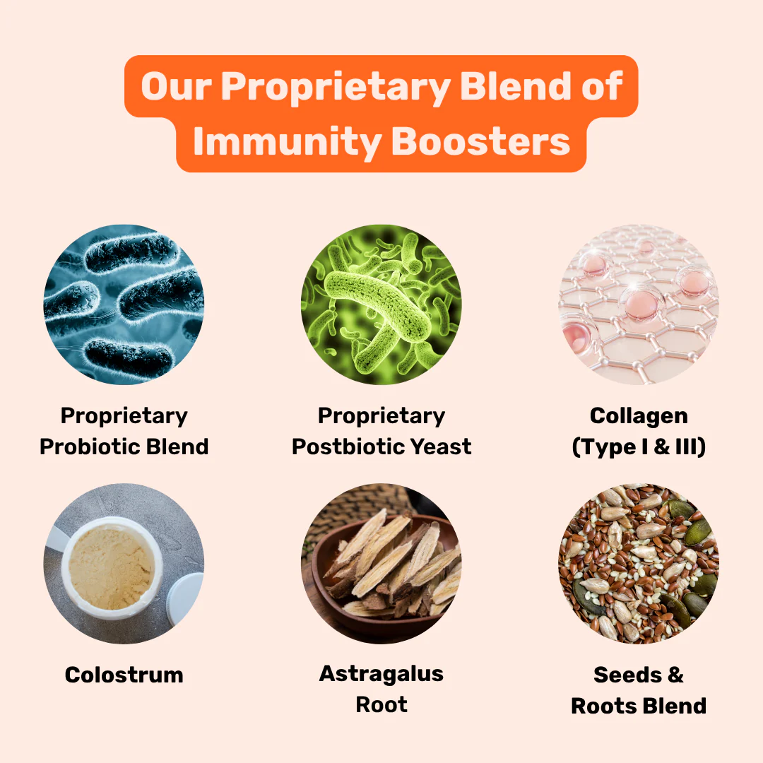 Absolut Pet Postbiotics to Boost Immunity Chews Dogs Treat - Runbopad