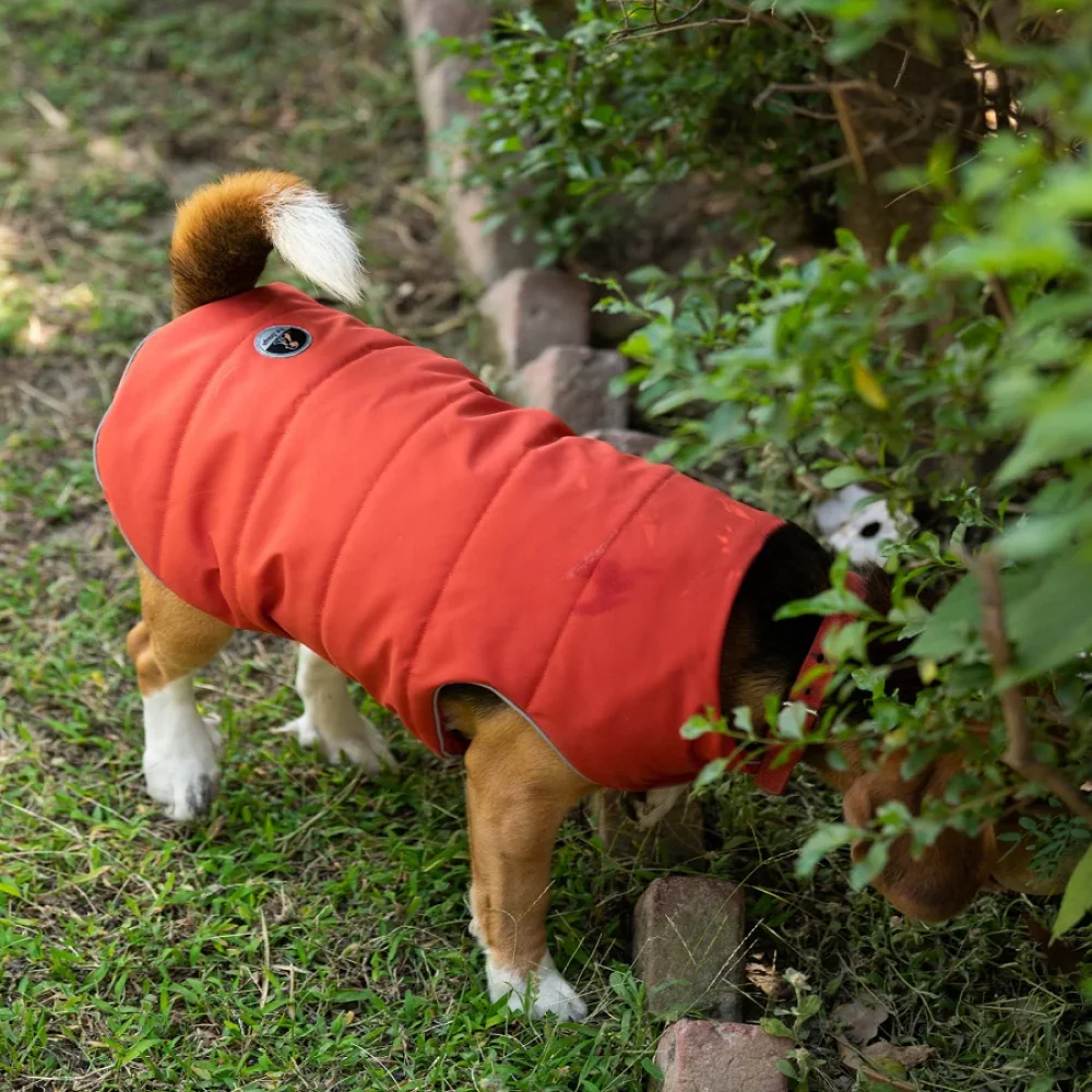 Petsnugs Water Resistant Jackets for Dogs and Cats (Rust) - Runbopad