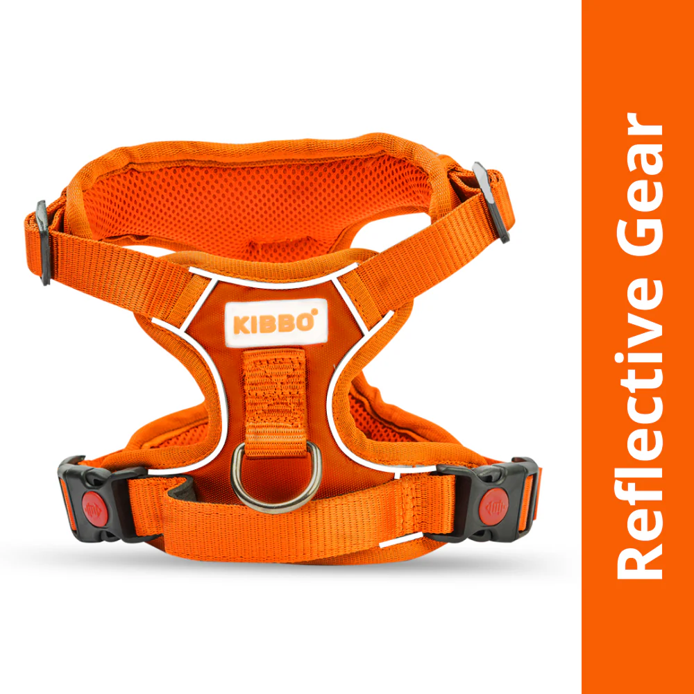 Dogs-Collar - Runbopad