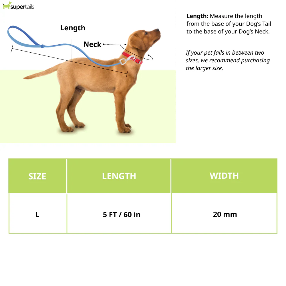 Zoomiez Hands Free Mesh Leash for Dogs & Cats (Orange) - Runbopad